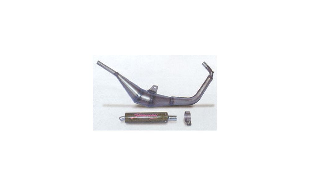 Simonini Echappement Aprilia RS from 2000, Extrema, silencieux en carbone