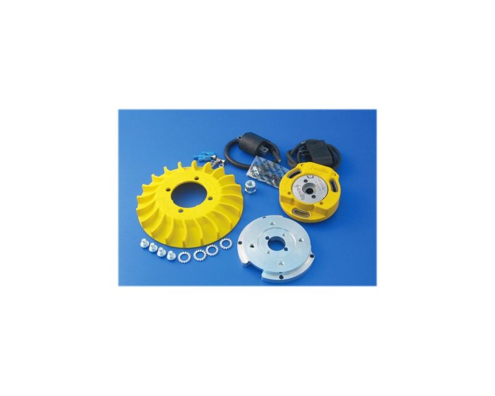 Parmakit Allumage électronique avance variable, cône 19 rotor interne couleur jaune