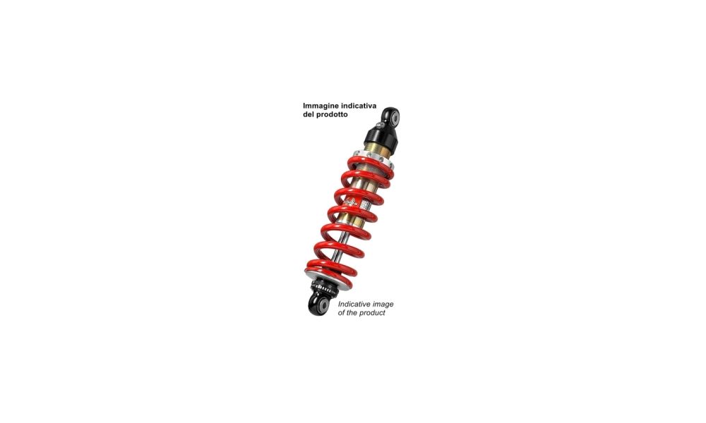 cartucce forcella bitubo ebh racing Ducati streetfighter v4, Panigale v2