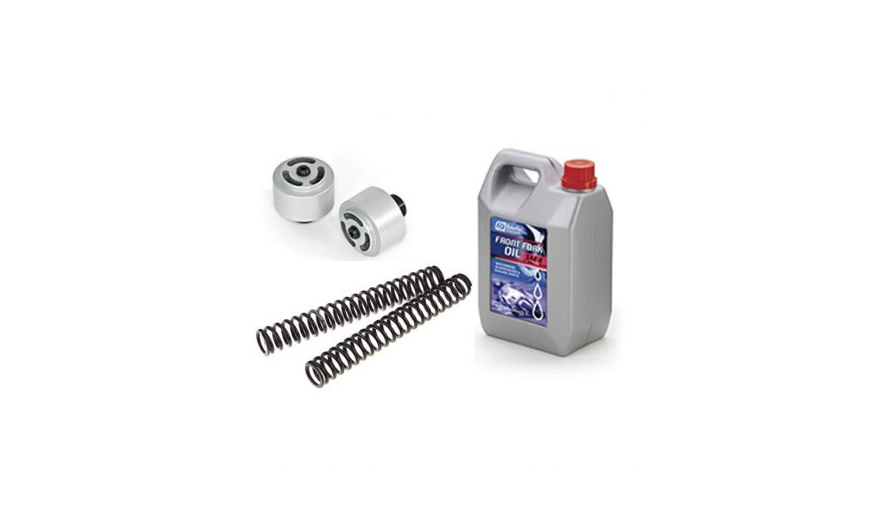 KIT POMPANTI A LAMELLE/MOLLE GUBELLINI INTEGRA 750