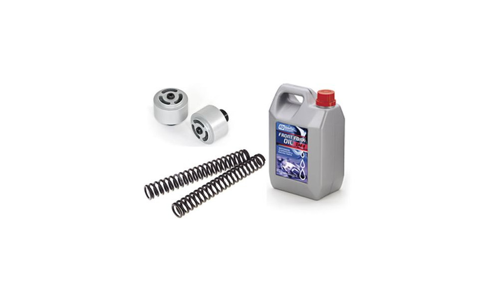 KIT POMPANTI A LAMELLE/MOLLE GUBELLINI XVS 1100 DRAGSTAR 