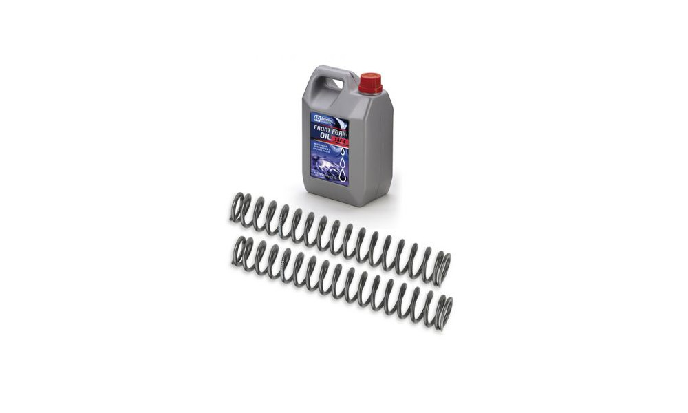KIT MOLLE E OLIO PER FORCELLA GUBELLINI Z900MY
