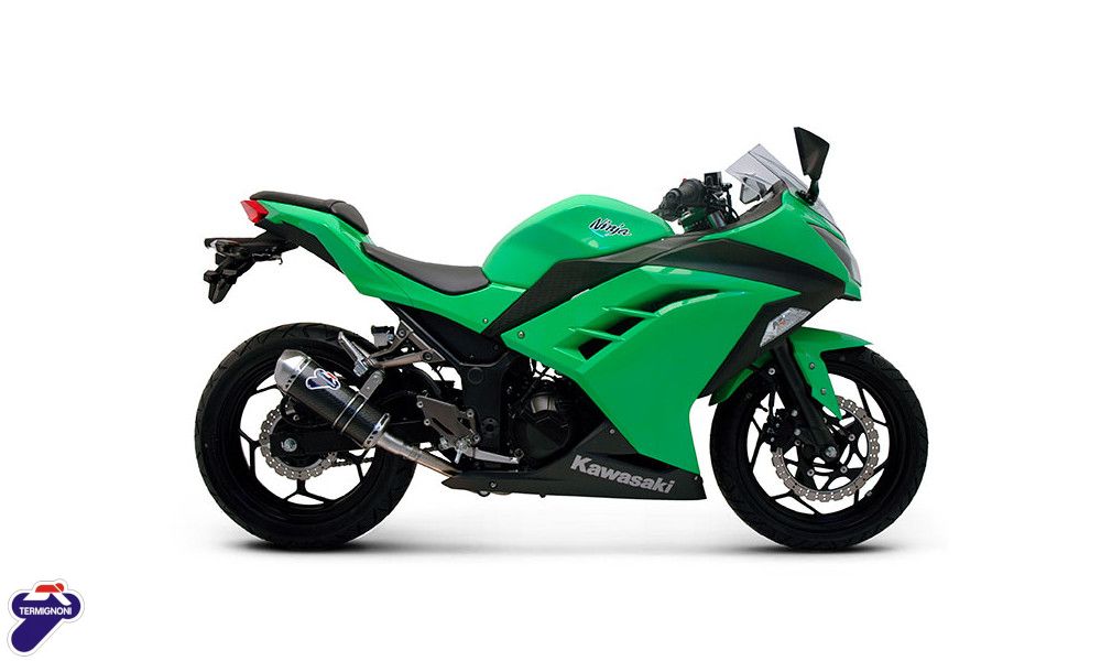 Silencer Termignoni carbon Relevance racing Kawasaki NINJA 300R
