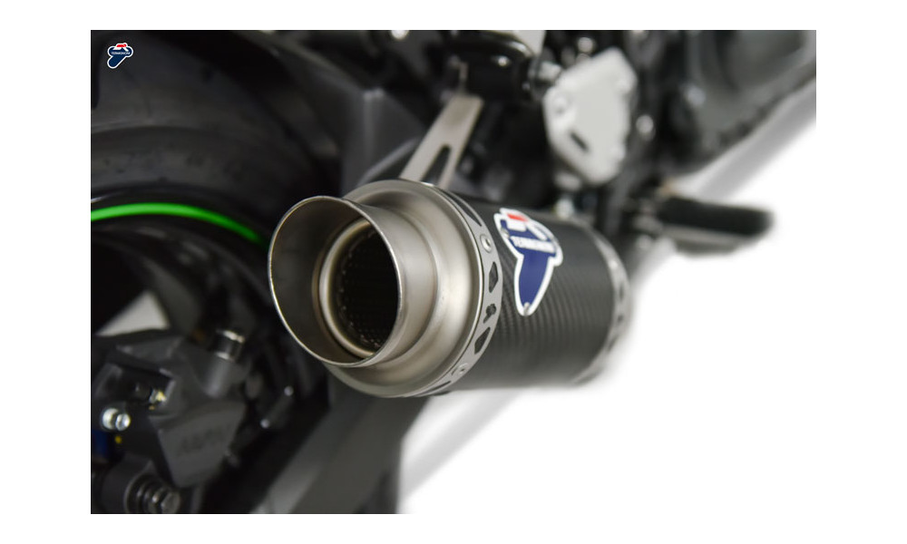 Silencieux Termignoni GP classic solo pour Kawasaki z 900 17-19