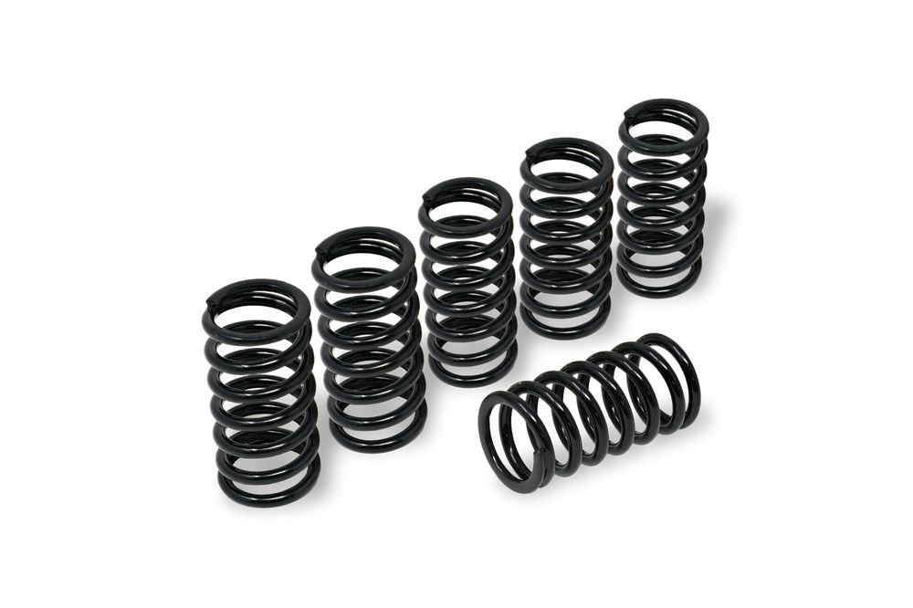 CNC RACING MUELLES EMBRAGUE H45 NEGRAS BMW S 1000 RR