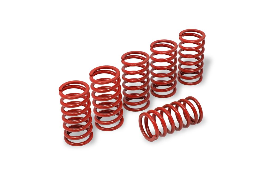 CNC RACING CLUTCH SPRINGS H45 RED BMW S 1000 RR
