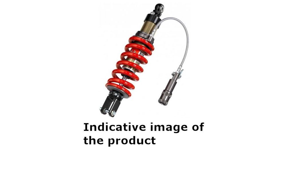 Bitubo monofederbein hinten rote Farbe Suzuki 650 gladius