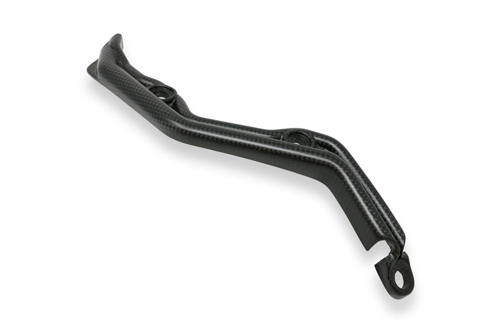 CNC RACING SCHWINGARM CARBONABDECKUNG DUCATI 1199/1299 PANIGALE